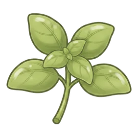 albahaca