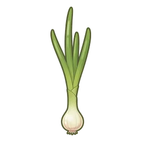 cebolla de verdeo