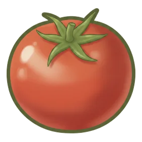 tomate